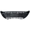 Picture of Bumper Grille