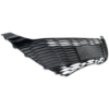 Picture of Bumper Grille