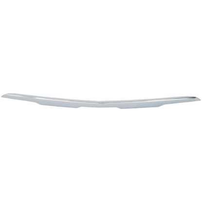 Picture of Bumper Trim