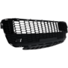 Picture of Bumper Grille
