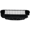 Picture of Bumper Grille