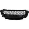 Picture of Bumper Grille