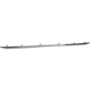 Picture of Bumper Trim