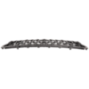 Picture of Bumper Grille