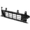 Picture of Bumper Grille