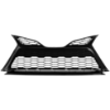 Picture of Bumper Grille