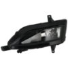 Picture of Fog Light