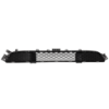 Picture of Bumper Grille