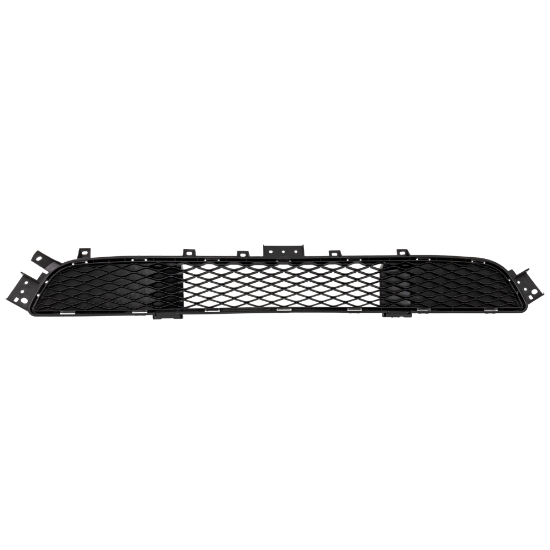 Picture of Bumper Grille