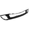 Picture of Bumper Grille