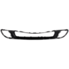 Picture of Bumper Grille