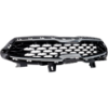 Picture of Grille Assembly