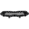 Picture of Grille Assembly