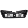 Picture of Grille Assembly