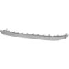 Picture of Bumper Trim