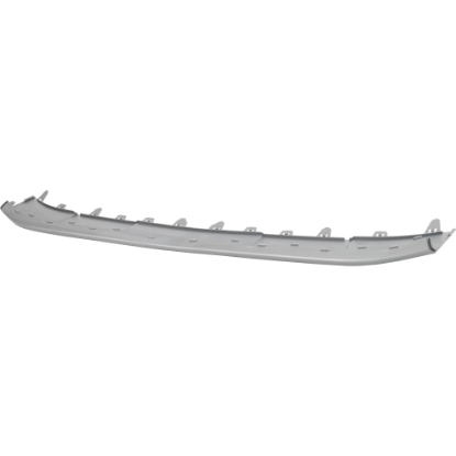 Picture of Bumper Trim