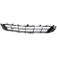 Picture of Bumper Grille