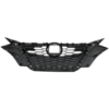 Picture of Grille Assembly