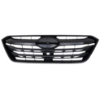 Picture of Grille Assembly