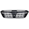 Picture of Grille Assembly