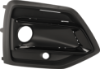 Picture of Fog Light Trim