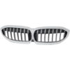 Picture of Grille Assembly