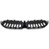 Picture of Grille Assembly