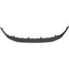 Picture of Bumper Grille