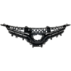 Picture of Grille Assembly