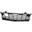 Picture of Bumper Grille