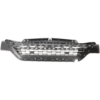 Picture of Bumper Grille