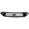 Picture of Grille Assembly