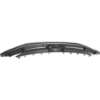 Picture of Grille Assembly