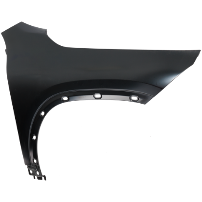 Picture of Fender