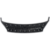 Picture of Grille Assembly