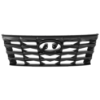 Picture of Grille Assembly