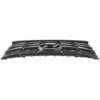 Picture of Grille Assembly