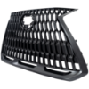 Picture of Grille Assembly
