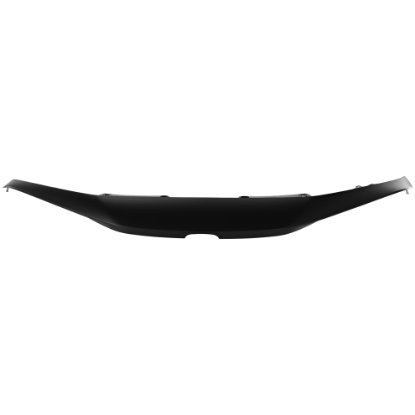 Picture of Grille Trim