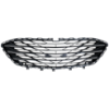 Picture of Bumper Grille