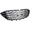 Picture of Bumper Grille