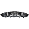Picture of Bumper Grille