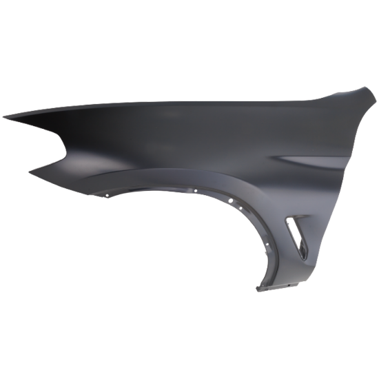 Picture of Fender
