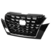 Picture of Grille Assembly