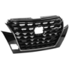 Picture of Grille Assembly