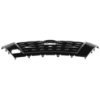 Picture of Grille Assembly