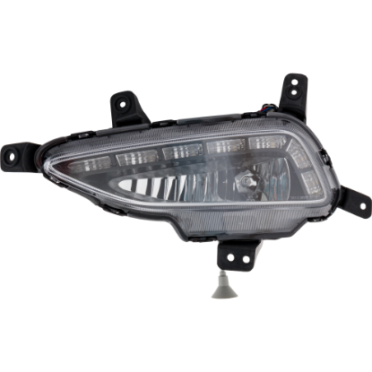 Picture of Fog Light