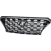 Picture of Grille Assembly