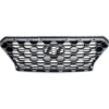 Picture of Grille Assembly