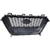 Picture of Grille Assembly